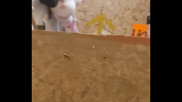 Goblok Banget Tuh Jalang Pake Culotte Kebuka Lebar Pas Doi Nunduk